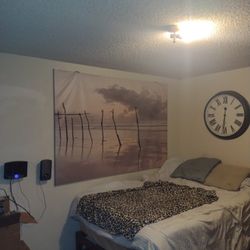 Canvas Art 