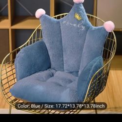 Cushion Seats For Office Chairs $20.00 ( Serious Buyers) Cash Only 