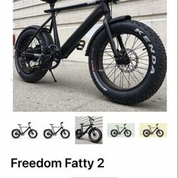 Freedom Fatty 2 E-bike 