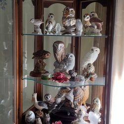 Owl Statues And Plates