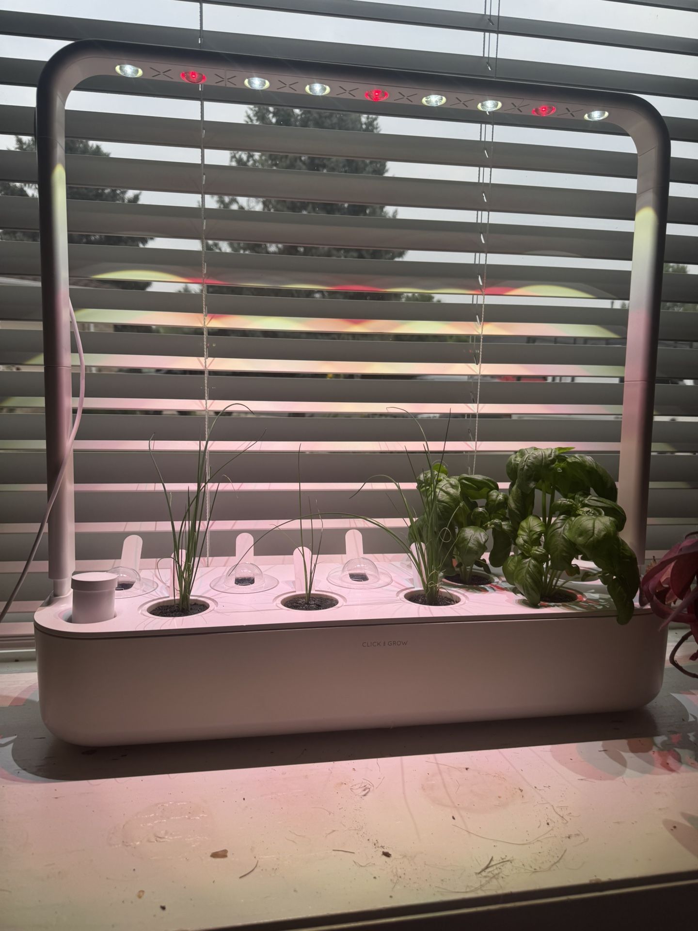 Click & Grow Smart Garden 9