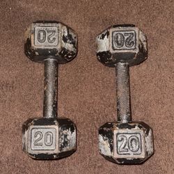 20 Pound Dumbbell Set