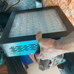 LED 200 Watt Full  Spectrum 