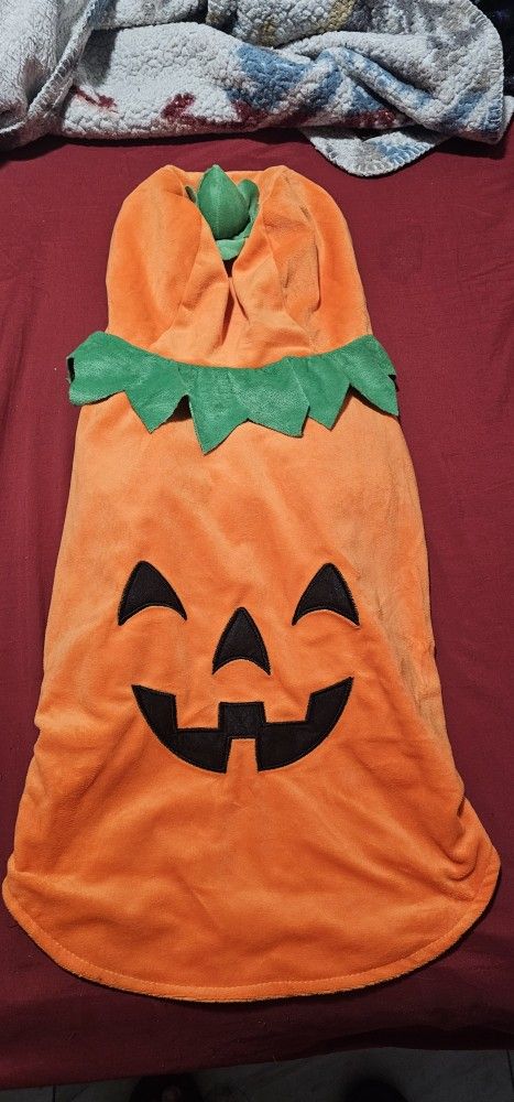 Large Dog Pumkin Costume