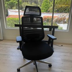 Branch Ergonomic Desk Chair
