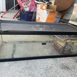 Reptile Terrarium