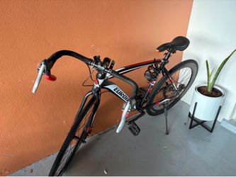 Euro bicycle