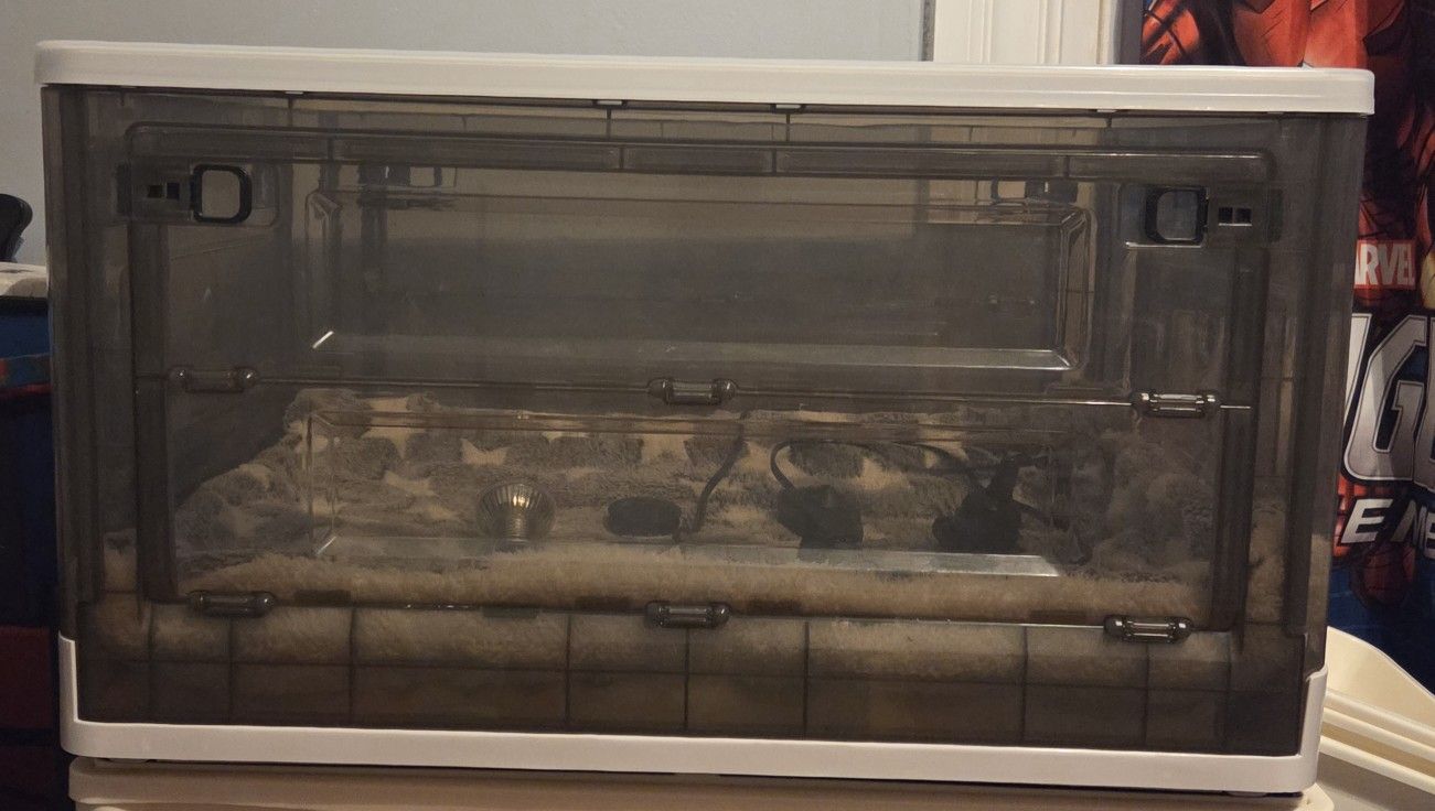 Incubator For Pups Or Kittens 