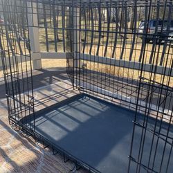 42 in Dog Crate