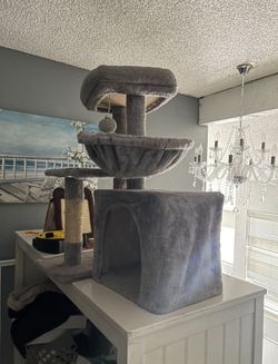 cat tree/house