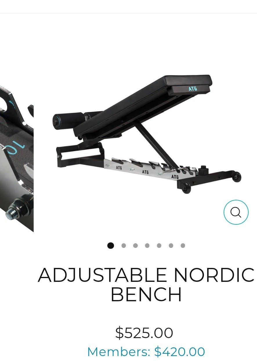 400$ ATG Nordic Bench