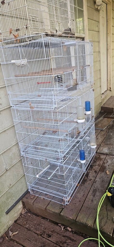 Bird Cages