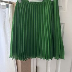 Skirt Size Large