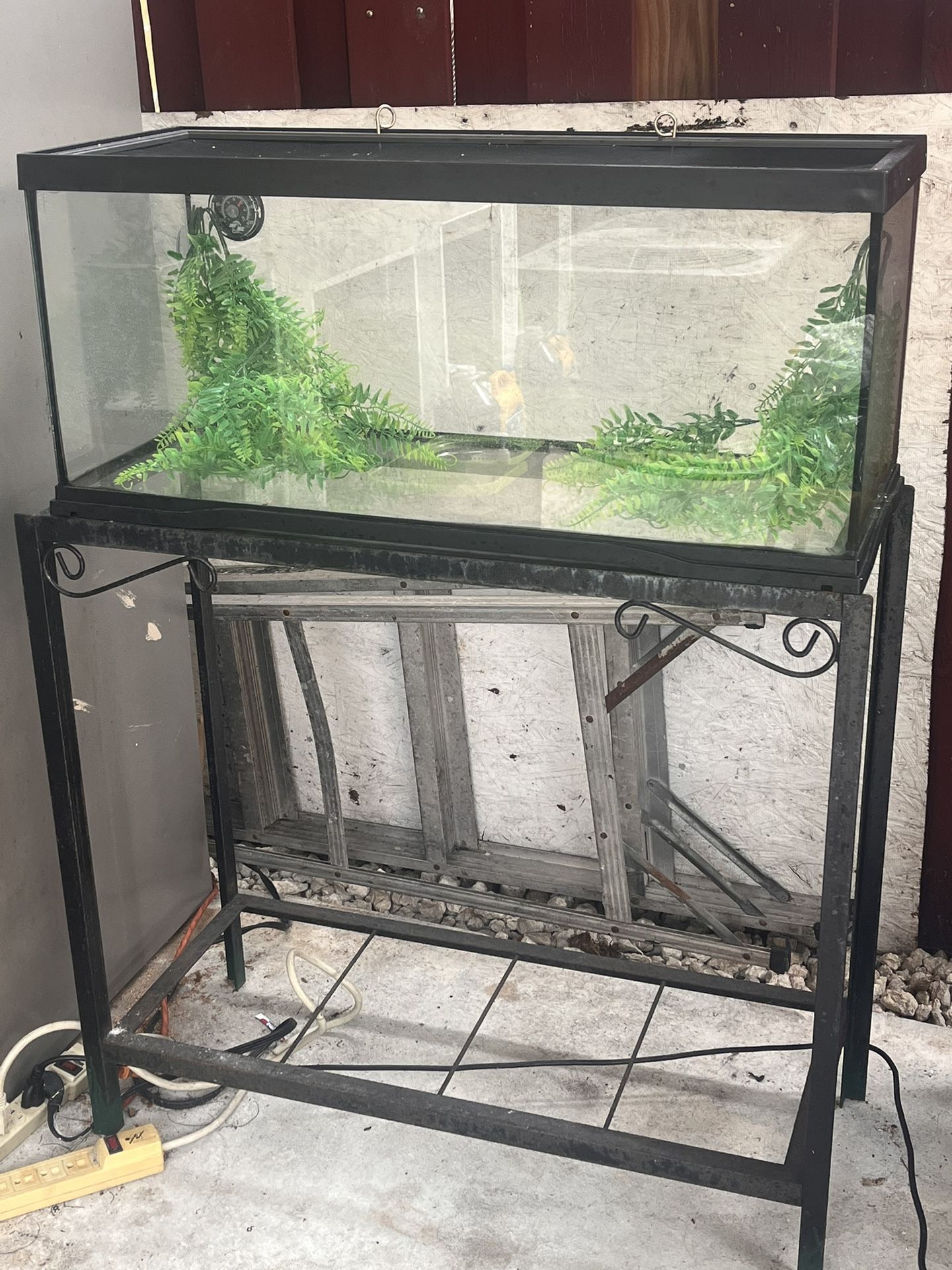 20 Gallon Tank With Stand/ Pecera de 20 galones con soporte