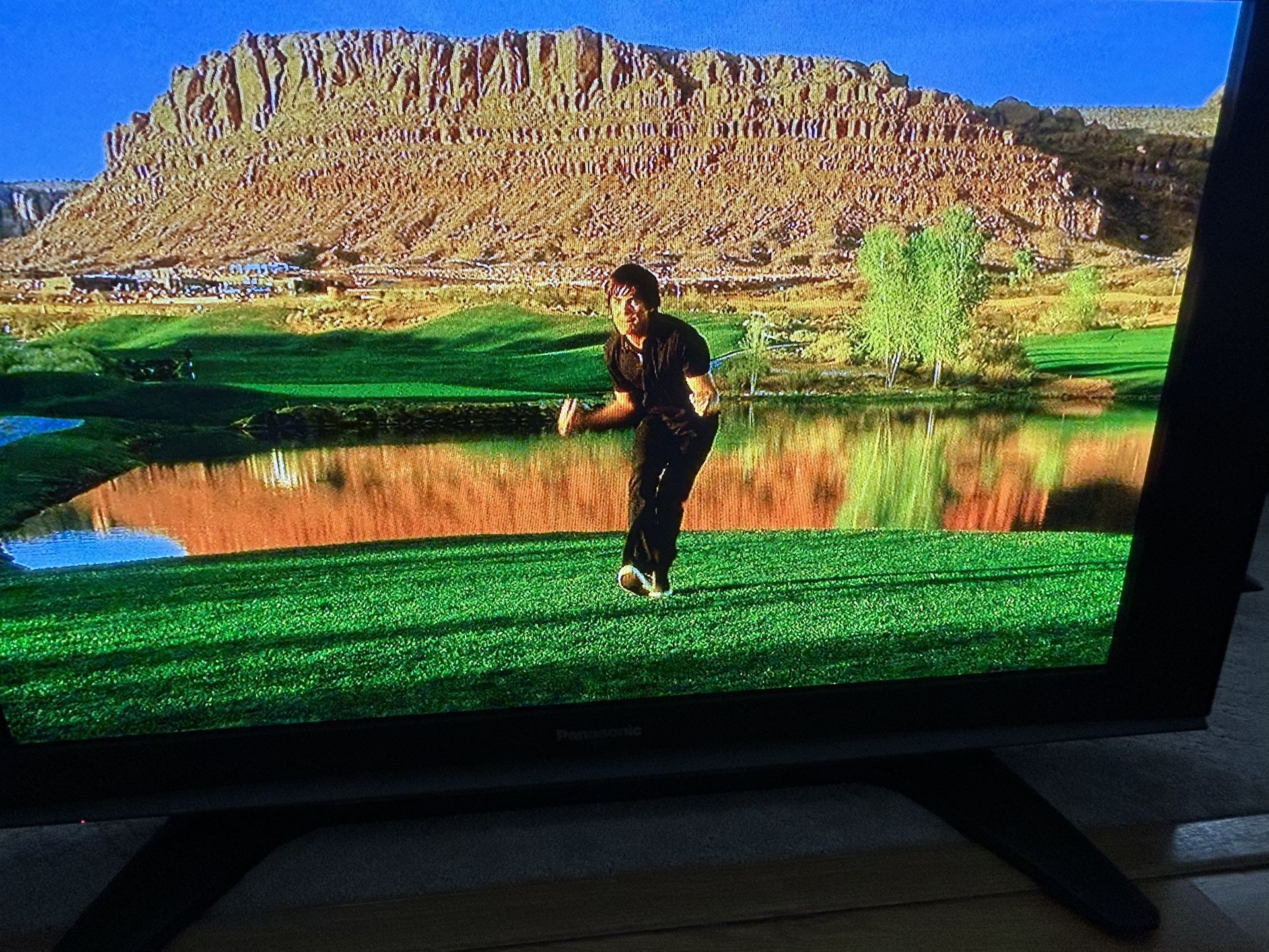 Panasonic 42 Inch Flat Screen/ Plasma TV