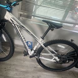 mountain bike