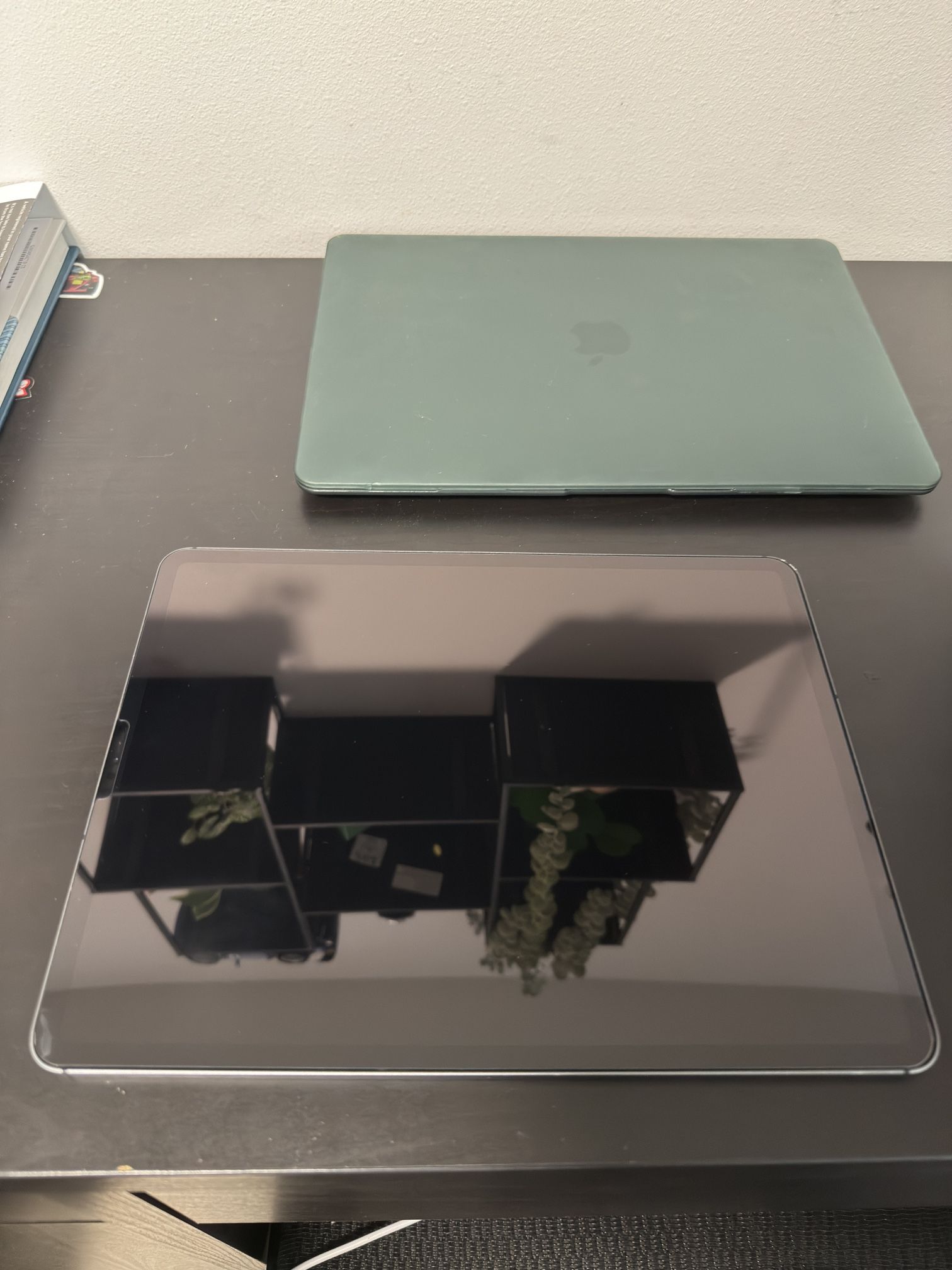 ipad pro 12.9 2018 (3rd gen)