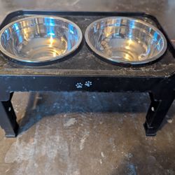 Raised Dog Bowls