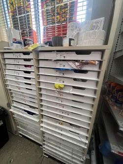 Balloon storage case