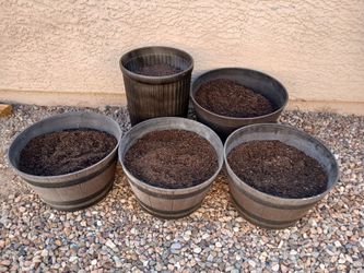 5 large plastic pots with new organic dirt