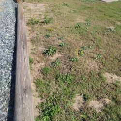 Telephone Poles. Need Gone!!!