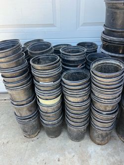 1 gallon pots $0.30 each