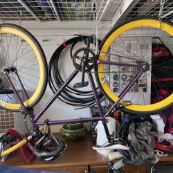 Custom SE Draft Bike