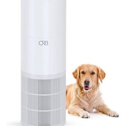 2 In 1 Air Purifier And Humidifier 