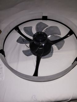 Ceiling Fan with Light
