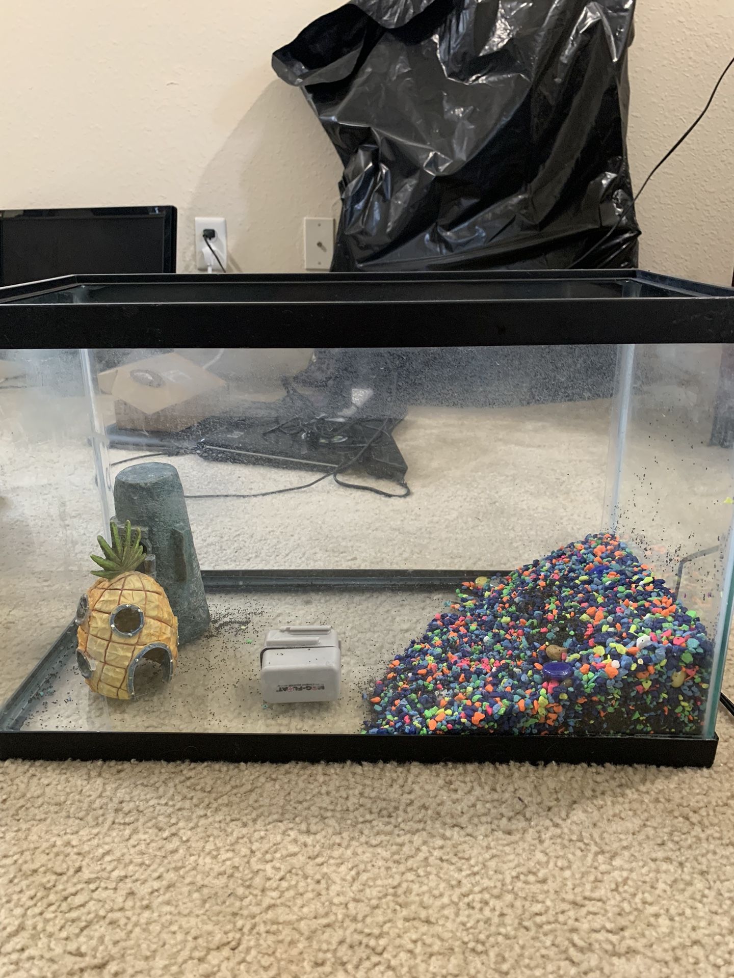 Fish Tank and Extras 