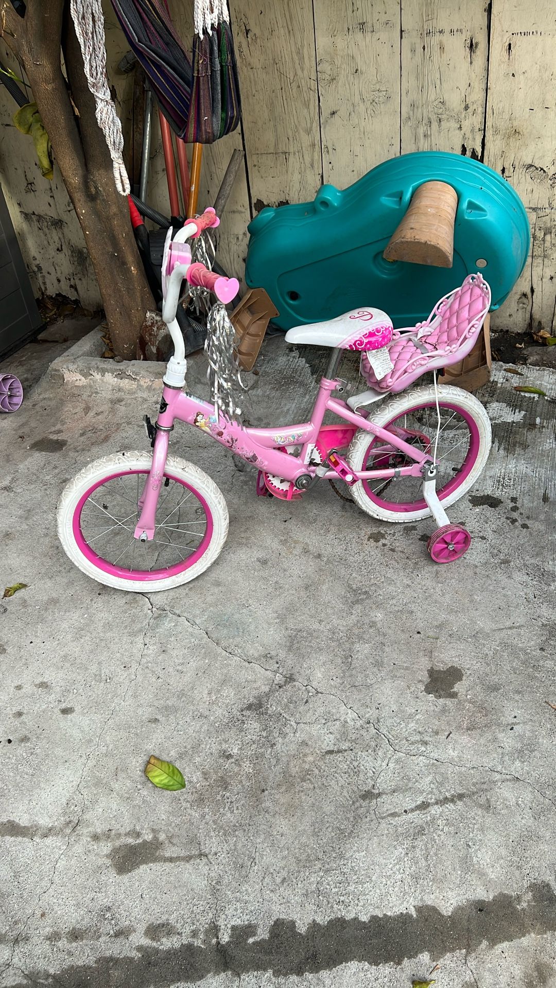 Girl Bike 