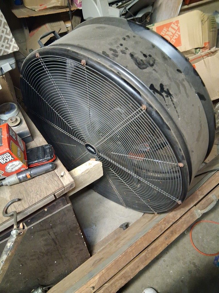 Lakewood Fan