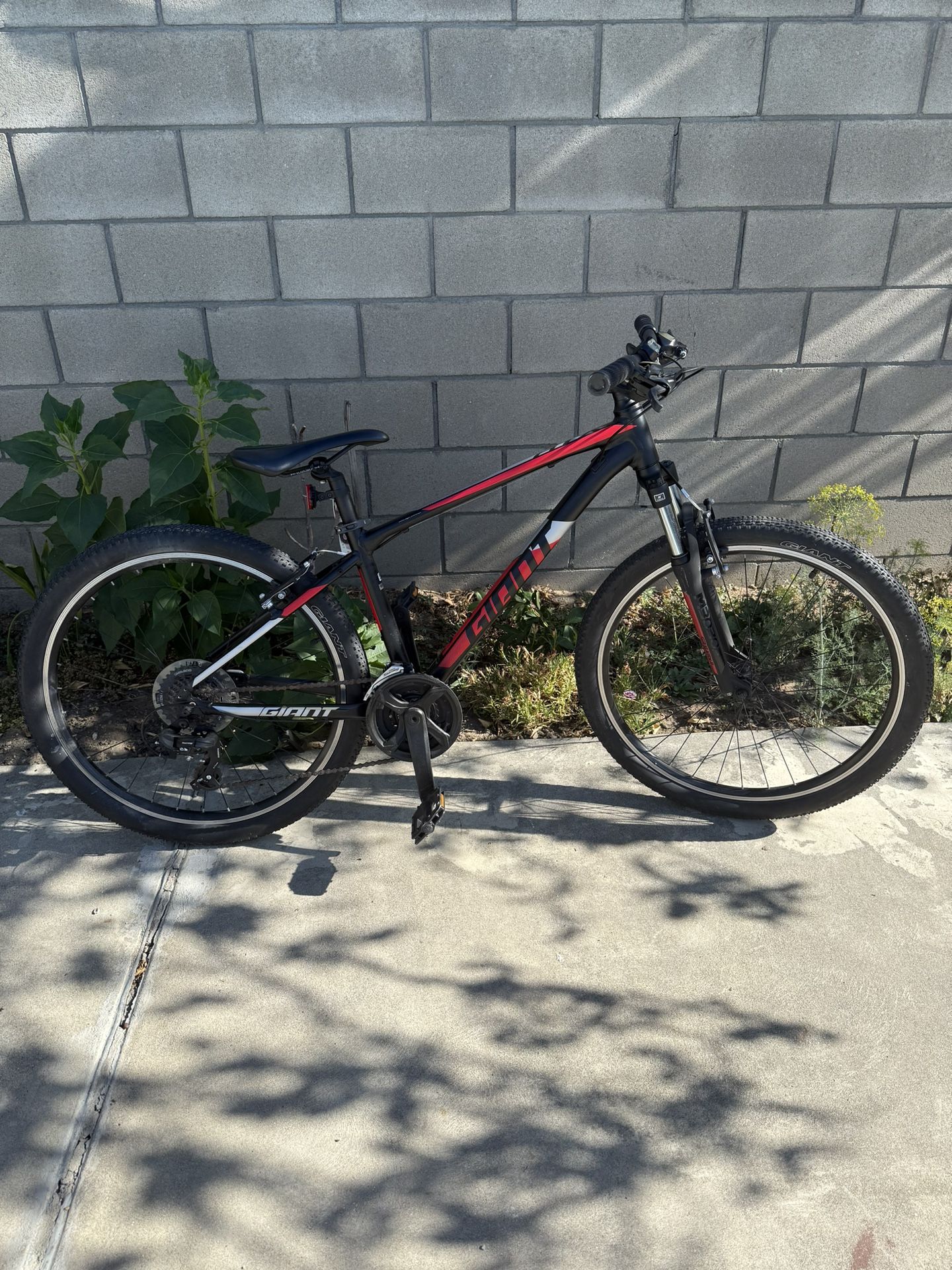 Giant ATX Disc 3