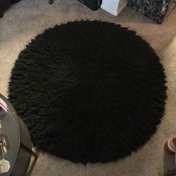 51 In Area Rug 