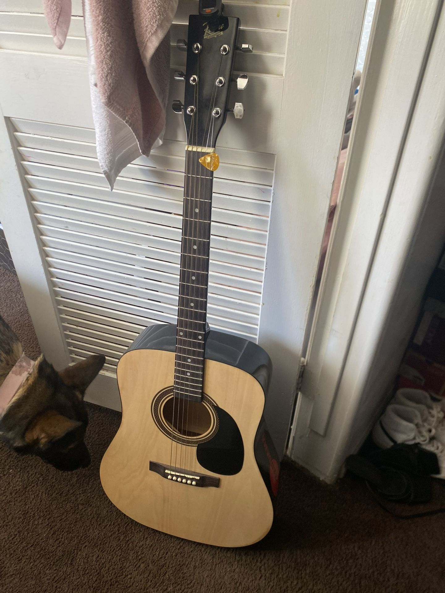 Acoustic Guitar 