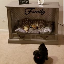 Console TV Dog Cat Pet Bed House