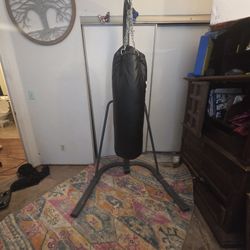 Century 100 Pound Oversized Heavy Bag with Bag Stand Combo