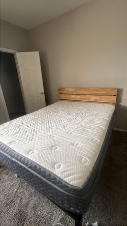 Queen Plush Mattress