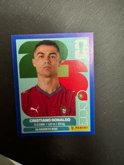 Panini world cup sticker