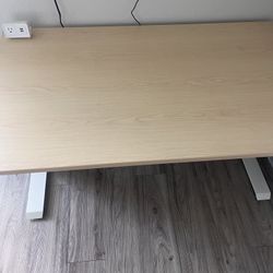 Large Motorized Standing Desk