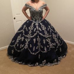 Quinceañera Dress (Princesa By Ariana Vara)