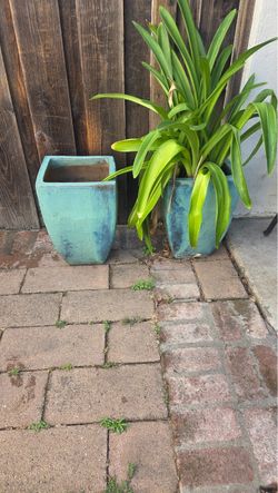 Tall Blue Planters