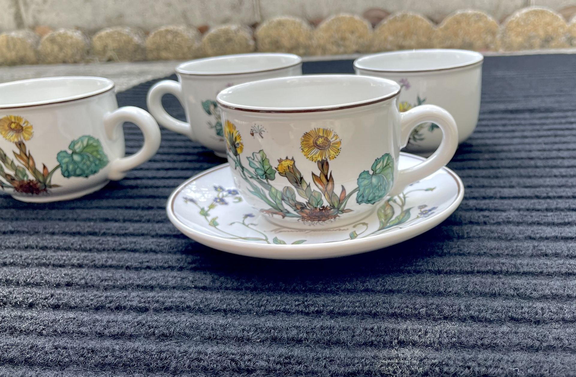 Villeroy & Boch Botanica Pattern 4 Cups & Saucers Set - Vitro Porcelain - Mint