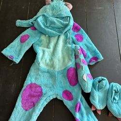 Costume , Monster Inc. , Sulley