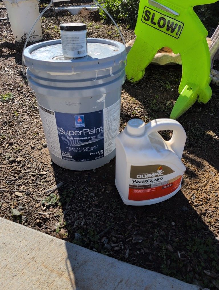 FREE Paint And Waterguard