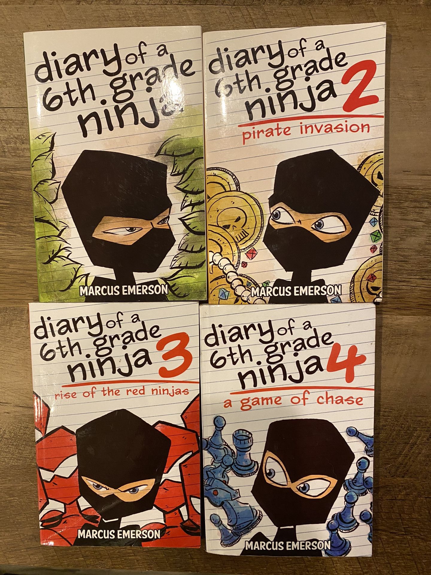 Diary of a 6th Grade Ninja books