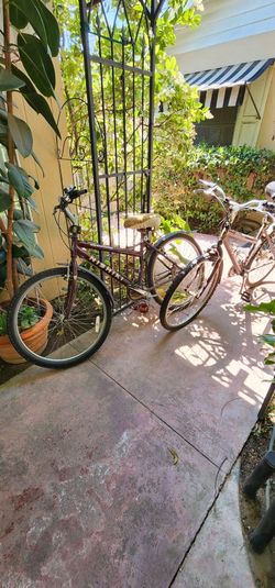 Twin Meridian Bicycles, (2)