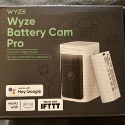Wayze Battery Cam Pro