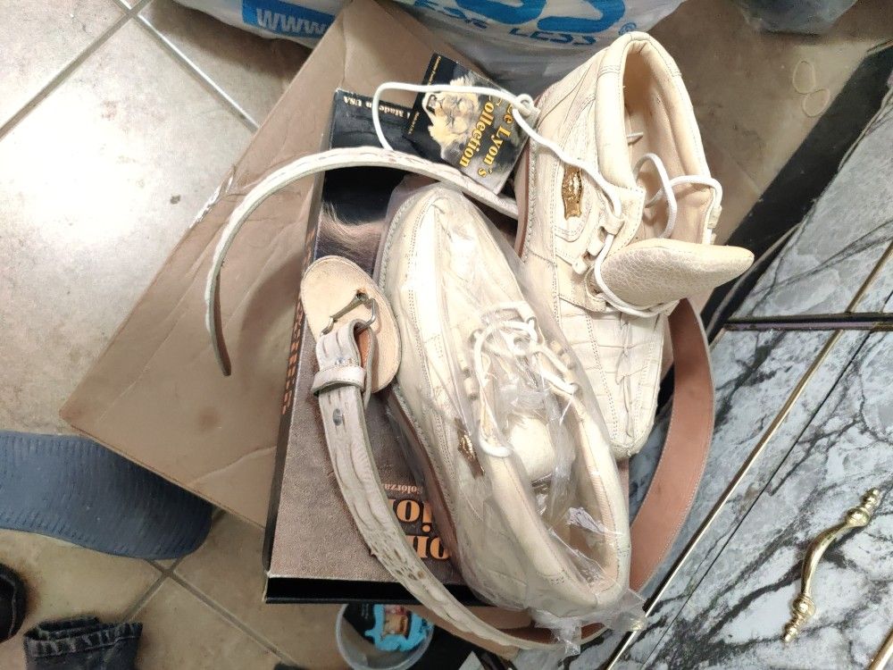 Zapatos De Cocodrilo