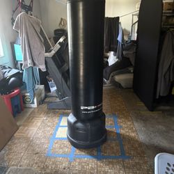 Freestanding Punching Bag